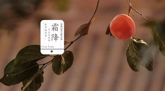 霜降習俗了解一下！